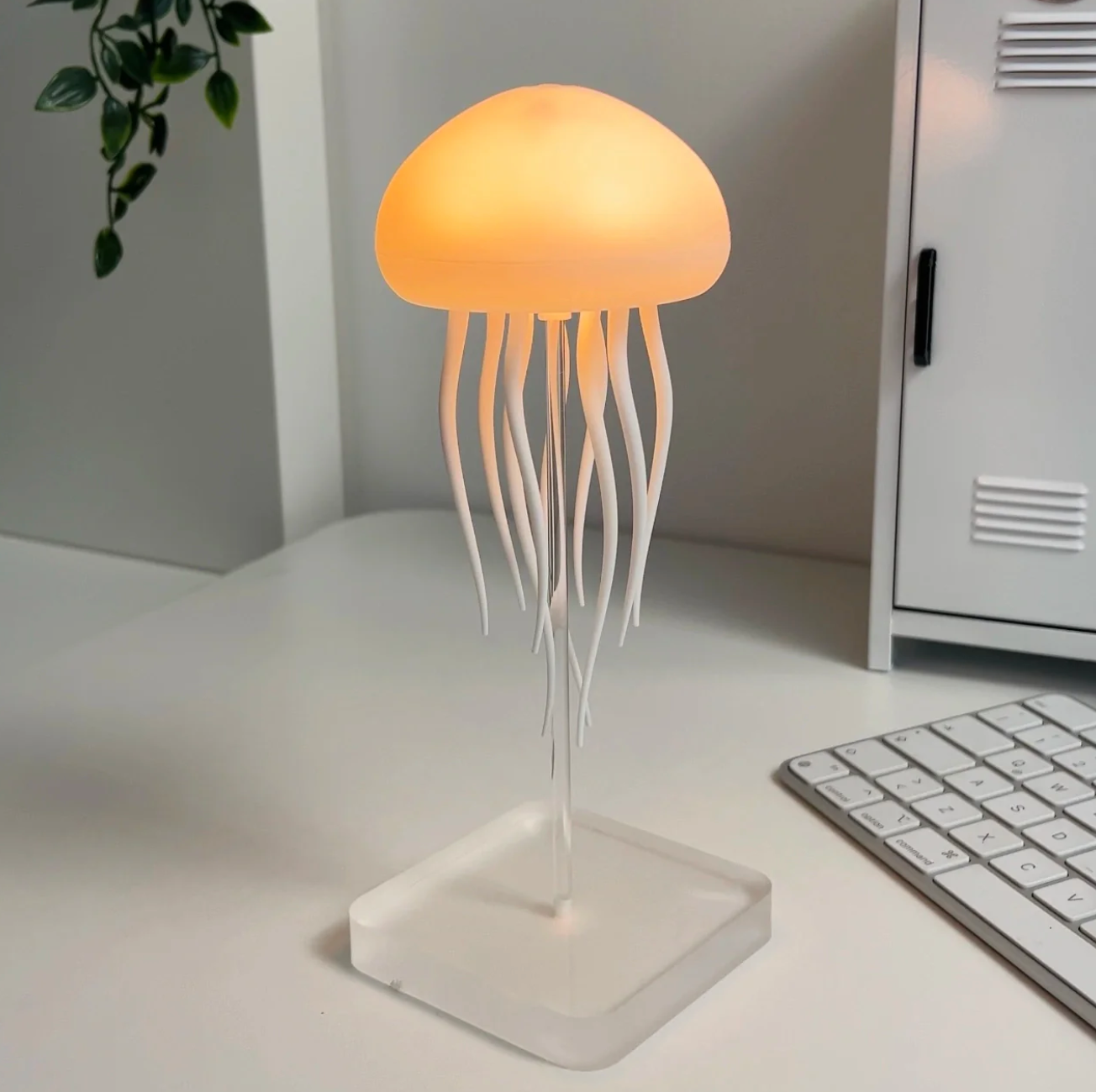 Jellyfish lamp